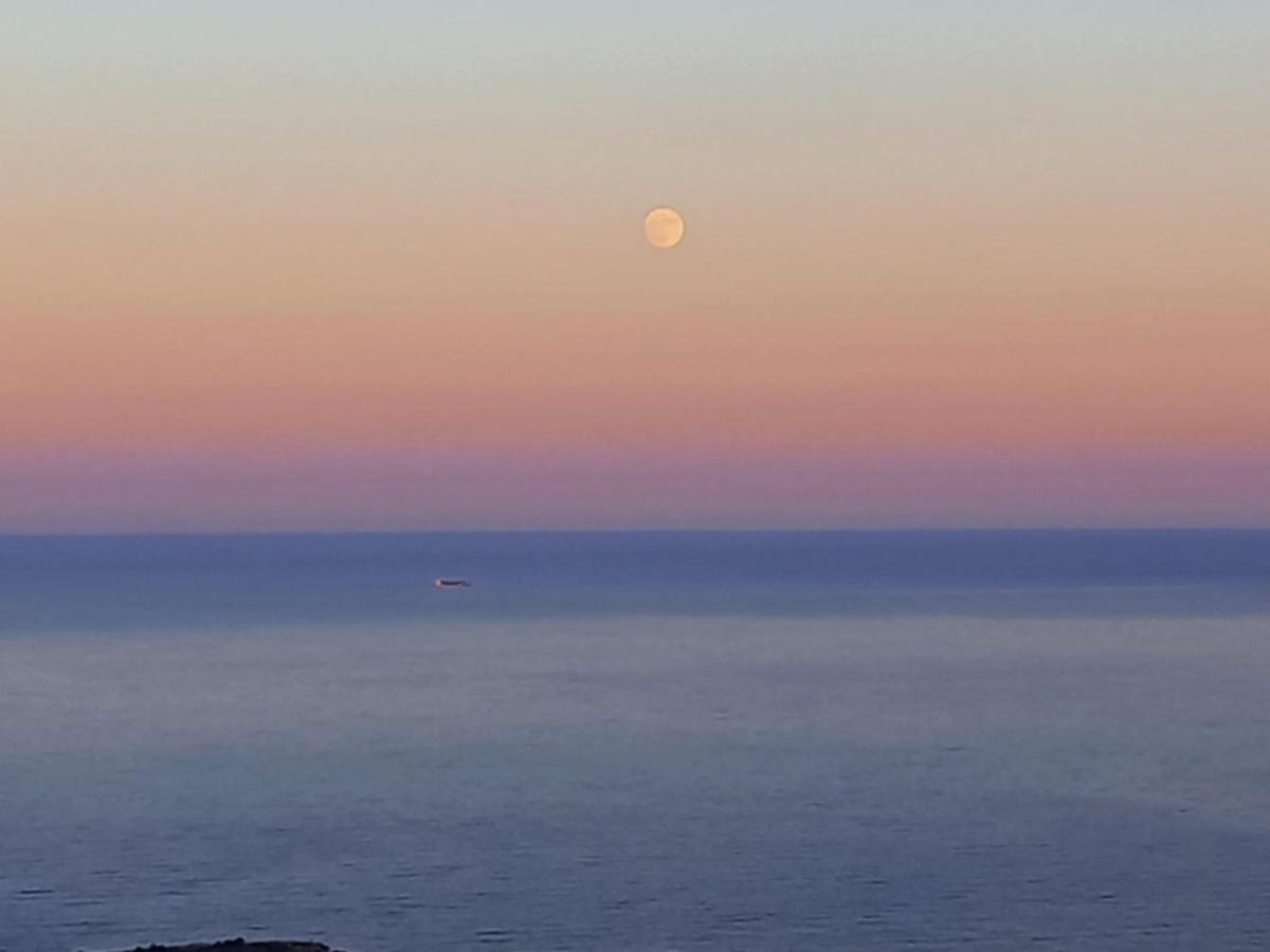 Appartamento Alma De Mar Benidorm Esterno foto